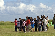 PENVINS 2012 - 0210
